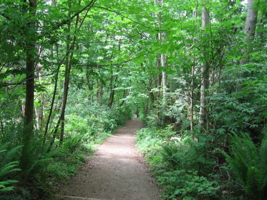 Parc régional Pacific Spirit